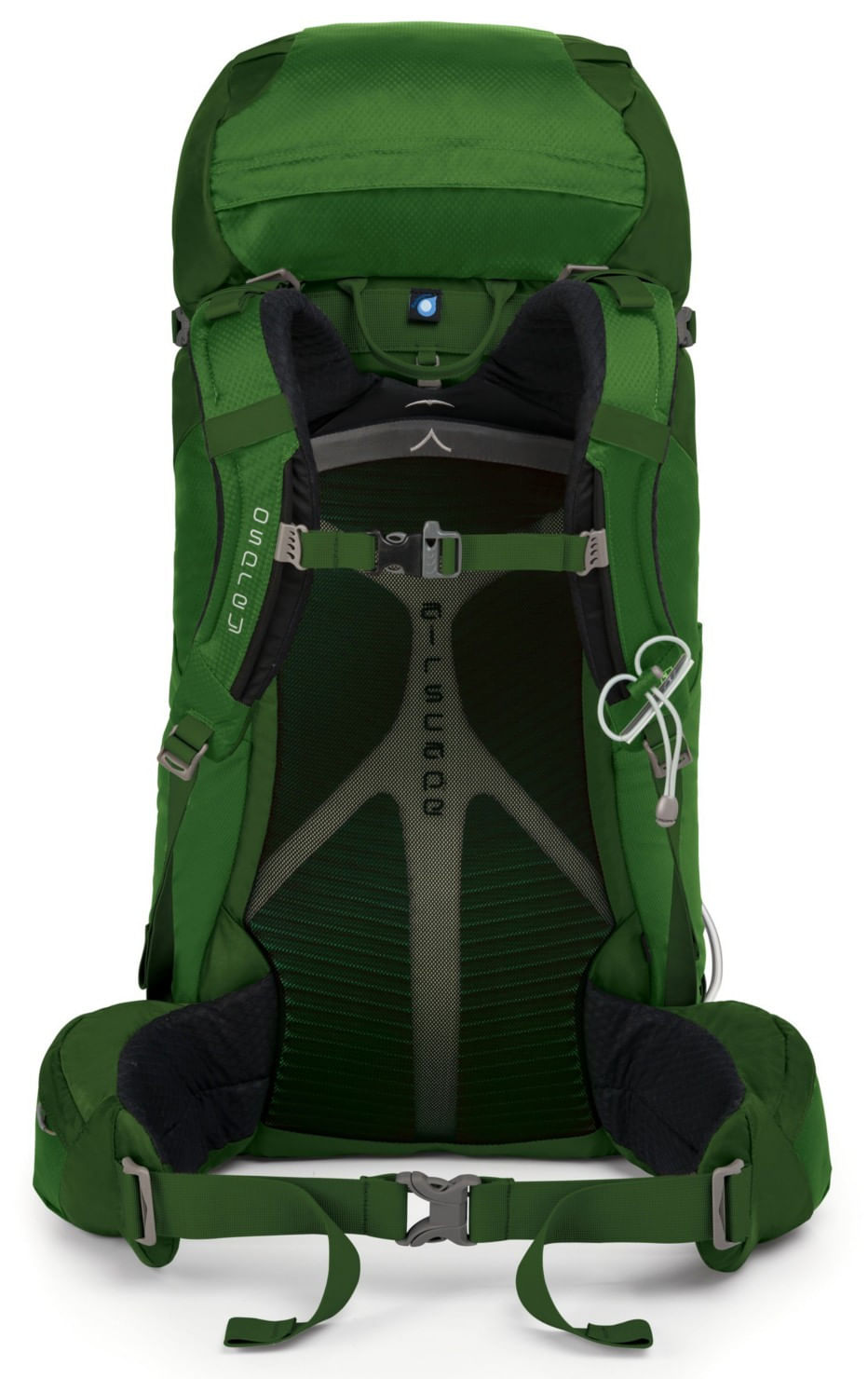 Osprey kestrel hotsell 48 jungle green