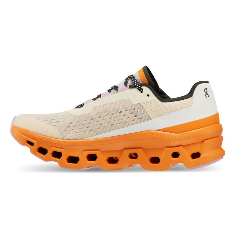 Tenis-On-Running-Cloudmonster-61.98652-2