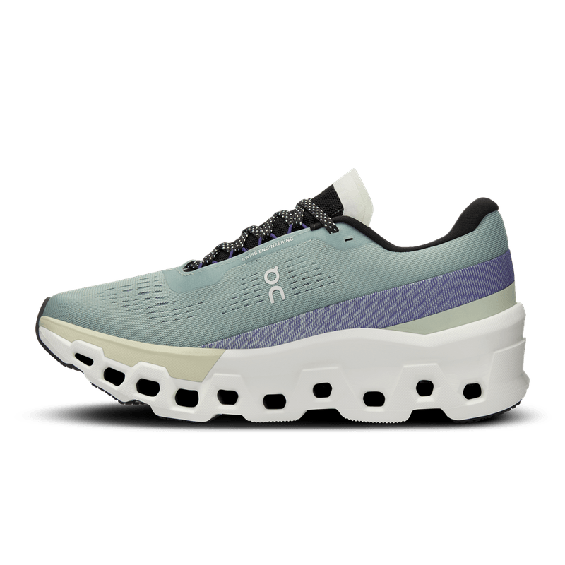 Cloudmonster-2-Feminino-3WE1011.2078-2