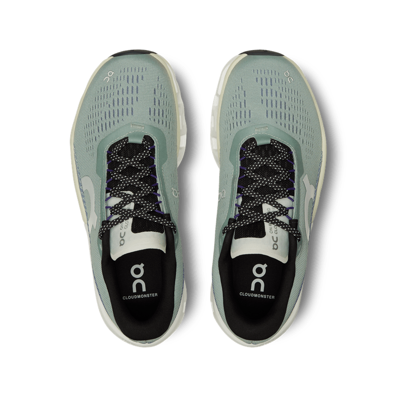 Cloudmonster-2-Feminino-3WE1011.2078-3