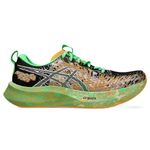 Tenis-Asics-NOOSA-TRI-16-Masculino-1011B872.002-1