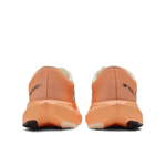 wfcxcc4-nb-07-i.png